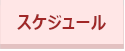 スケジュール