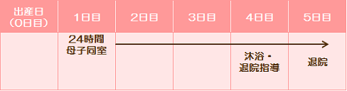 スケジュール表（経膣分娩の場合）